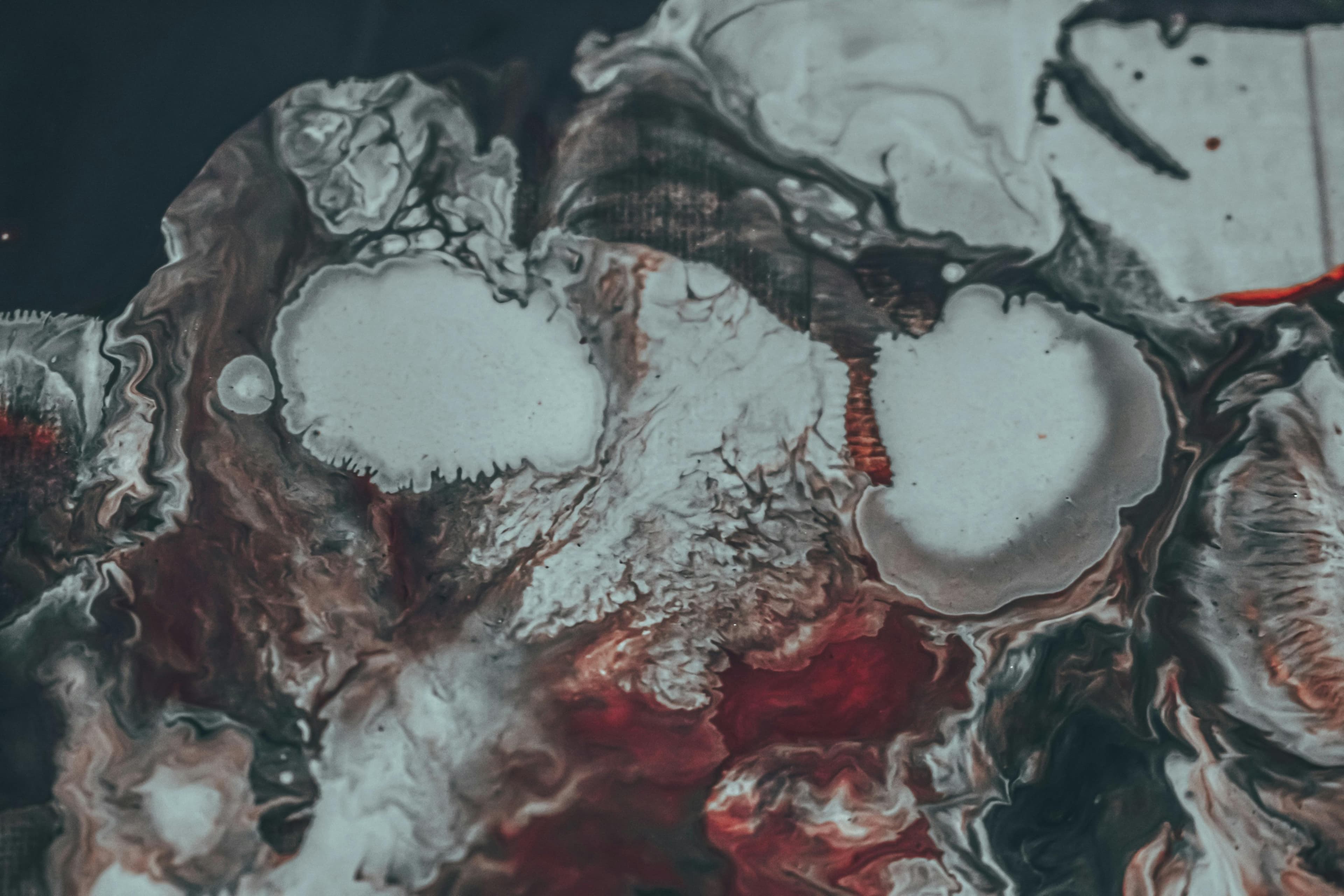 Cognitive & Nootropic