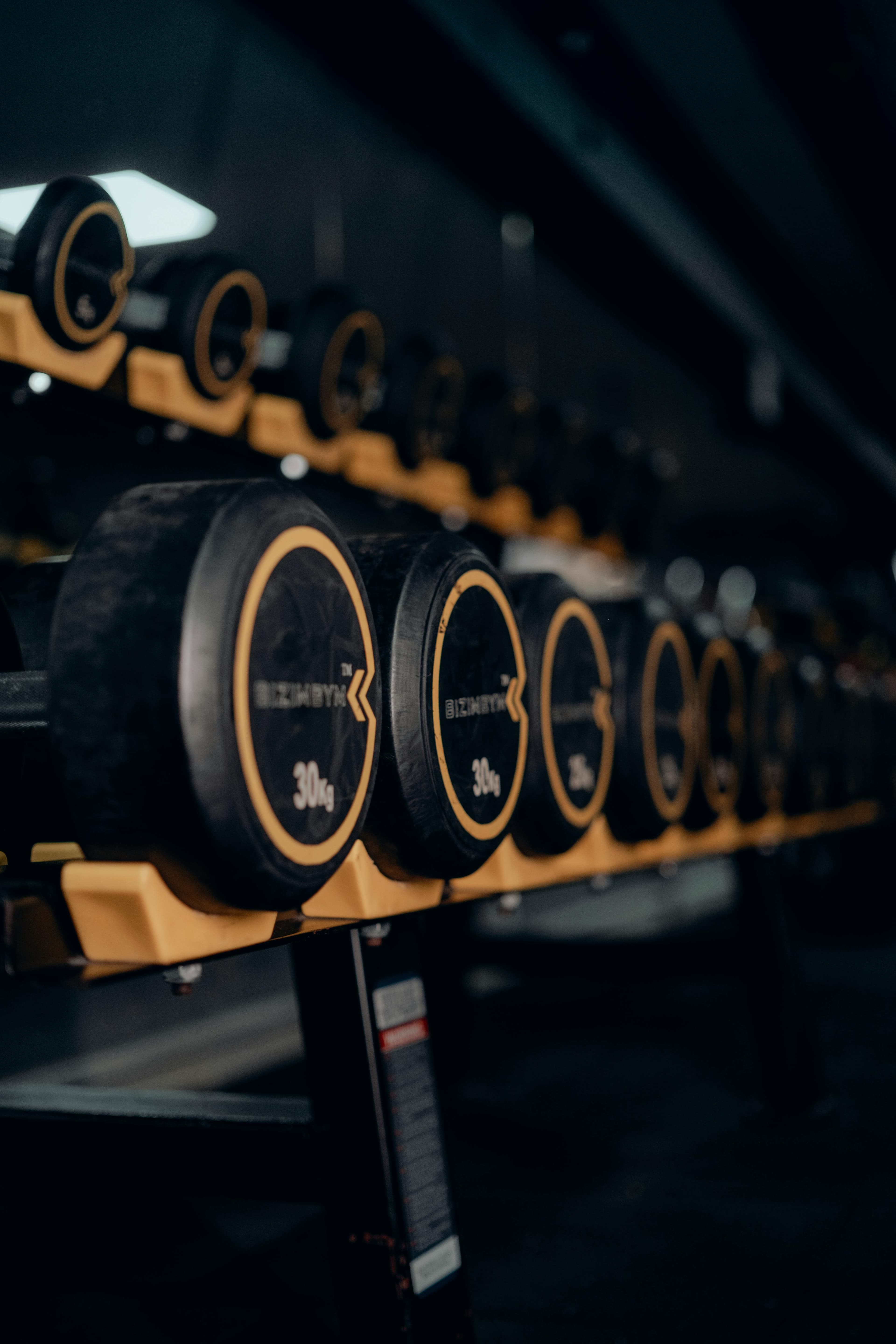 Performance & Body Composition